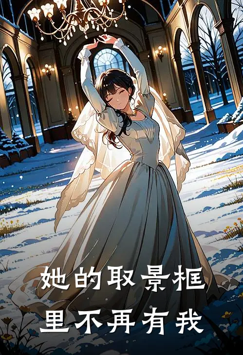 她的取景框里不再有我
