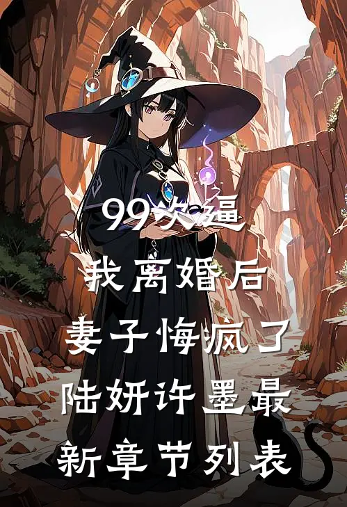 99次逼我离婚后，妻子悔疯了陆妍许墨最新章节列表