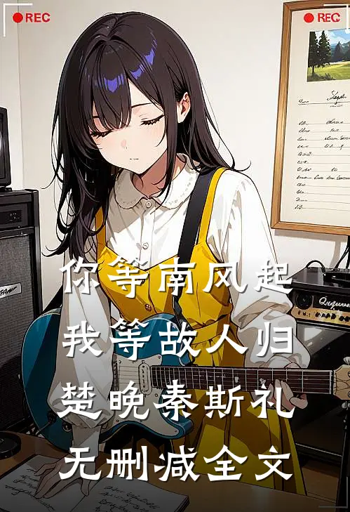 你等南风起，我等故人归楚晚秦斯礼无删减全文
