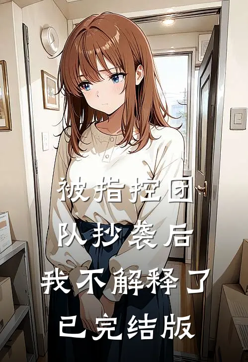 被指控团队抄袭后，我不解释了已完结版
