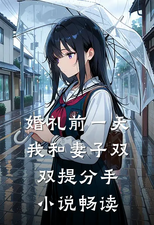 婚礼前一天，我和妻子双双提分手小说畅读