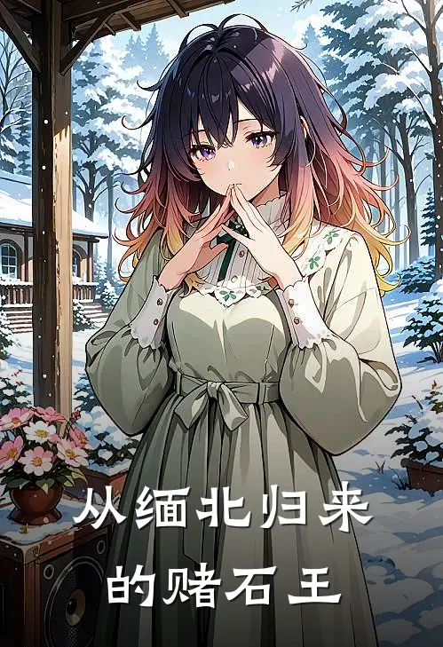 从缅北归来的赌石王