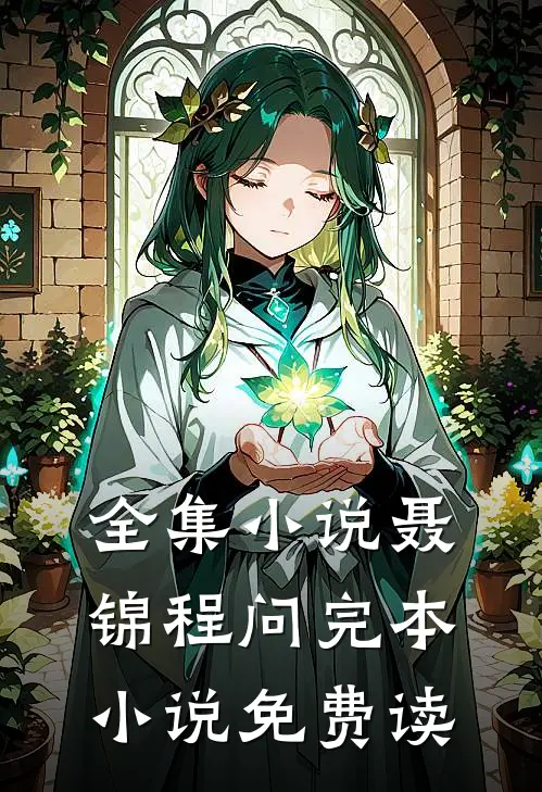 全集小说聂锦程问完本小说免费读