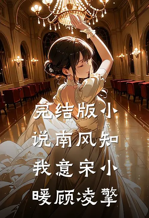 完结版小说南风知我意宋小暖顾凌擎