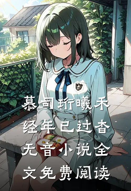 慕司珩曦禾经年已过杳无音小说全文免费阅读