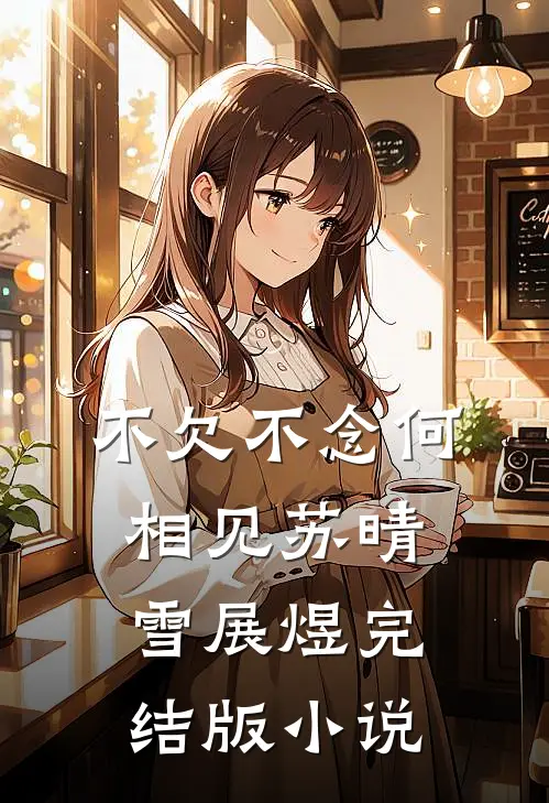 不欠不念何相见苏晴雪展煜完结版小说