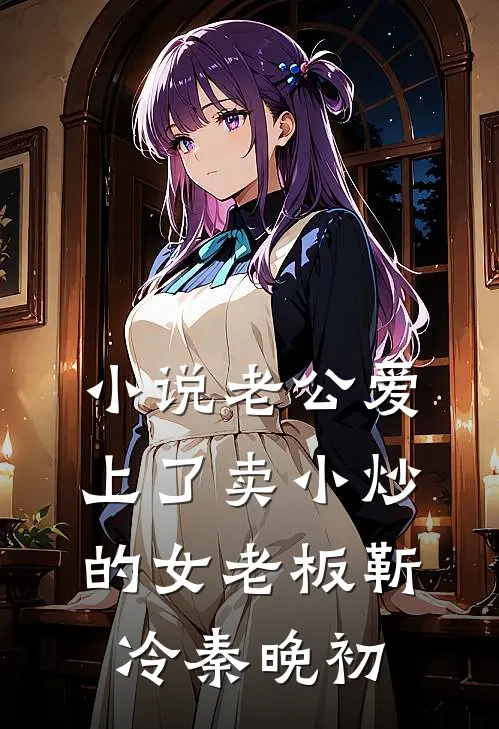 小说老公爱上了卖小炒的女老板(靳冷秦晚初)