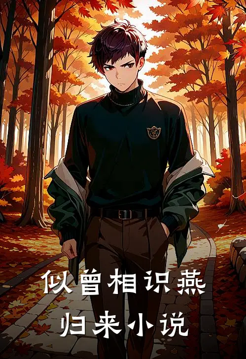 似曾相识燕归来小说