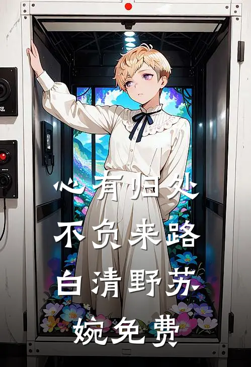 心有归处，不负来路白清野苏婉免费