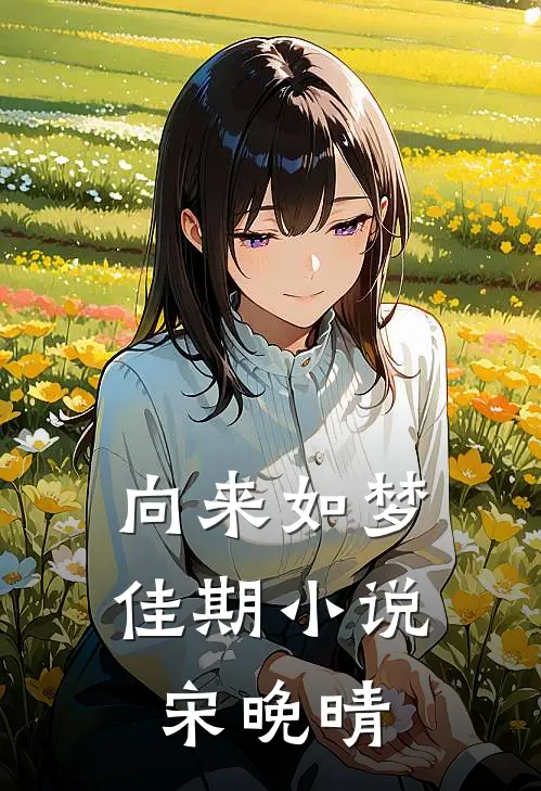 向来如梦佳期小说宋晚晴