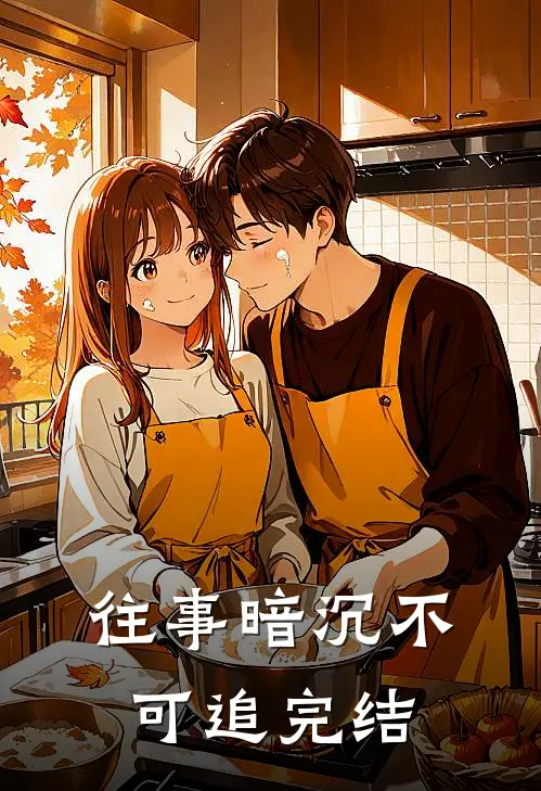 往事暗沉不可追完结