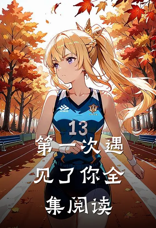 第一次遇见了你全集阅读