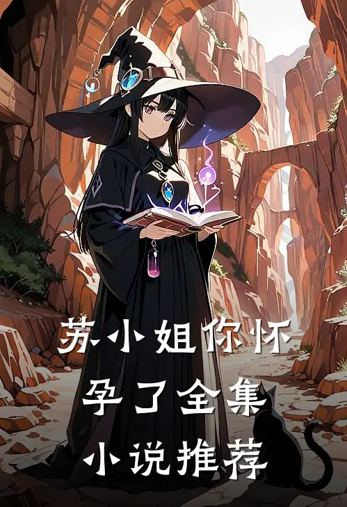 苏小姐你怀孕了全集小说推荐