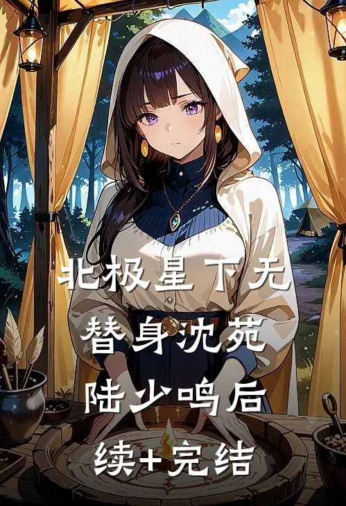 北极星下无替身沈苑陆少鸣后续+完结