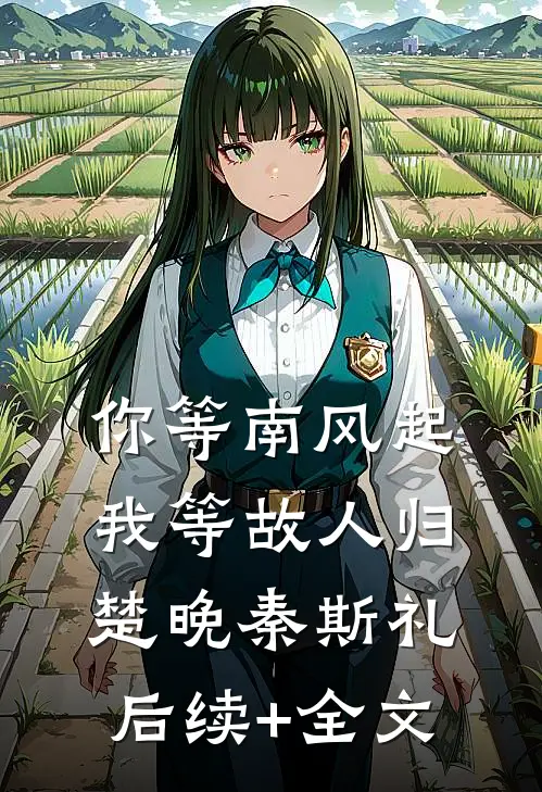 你等南风起，我等故人归楚晚秦斯礼后续+全文