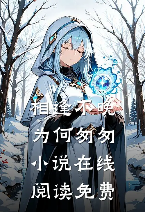 相逢不晚为何匆匆小说在线阅读免费