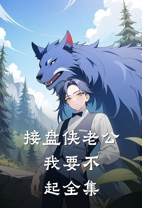 接盘侠老公，我要不起全集