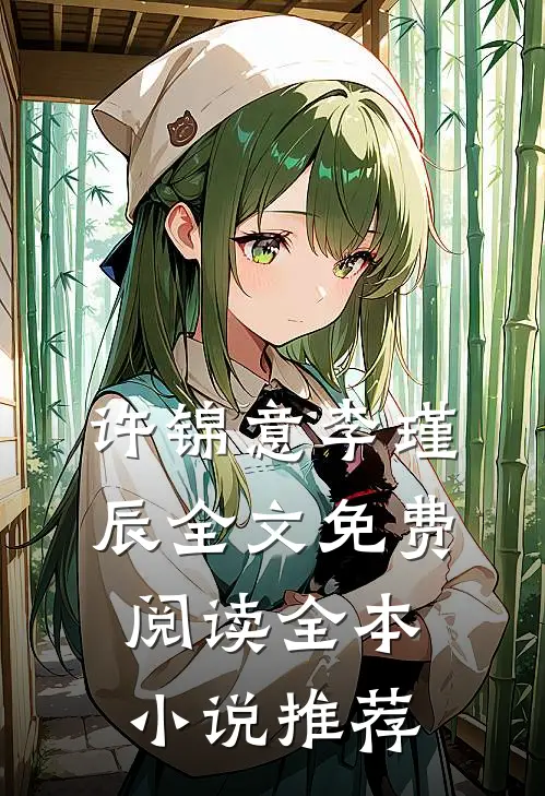 许锦意李瑾辰全文免费阅读全本小说推荐