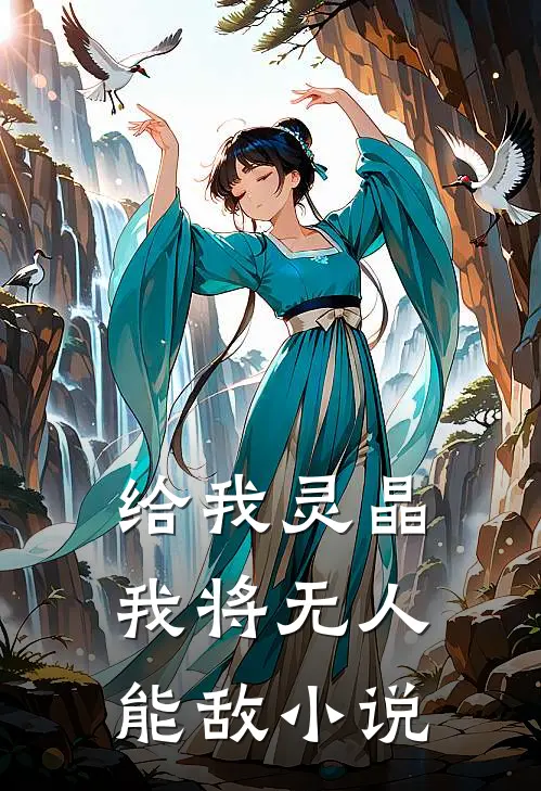 给我灵晶，我将无人能敌小说