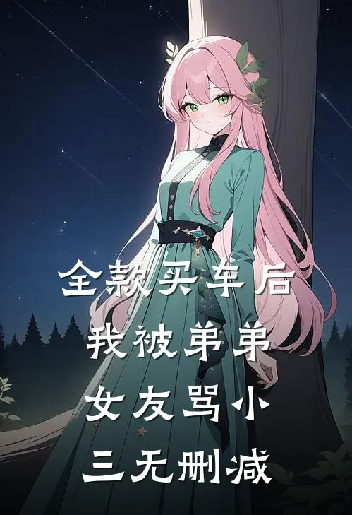 全款买车后我被弟弟女友骂小三无删减