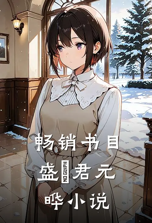 畅销书目盛玥君元晔小说