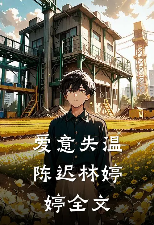 爱意失温陈迟林婷婷全文
