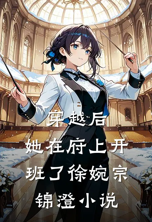 穿越后，她在府上开班了徐婉宗锦澄小说