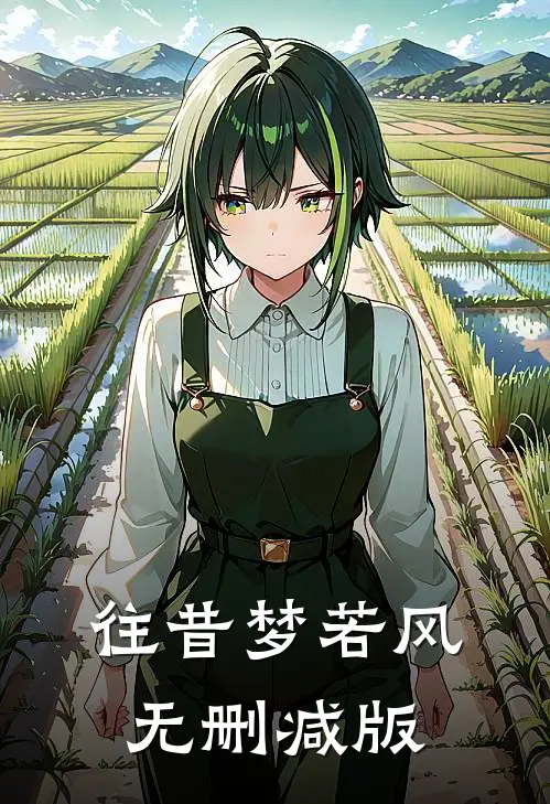 往昔梦若风无删减版