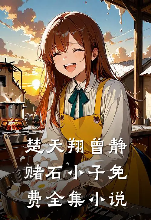 楚天翔曾静赌石小子免费全集小说
