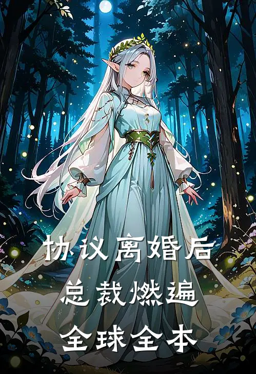 协议离婚后，总裁燃遍全球全本