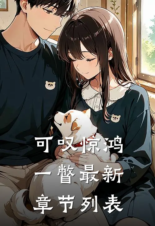 可叹惊鸿一瞥最新章节列表