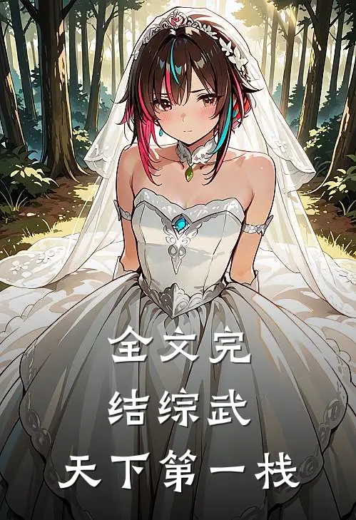 全文完结综武：天下第一栈