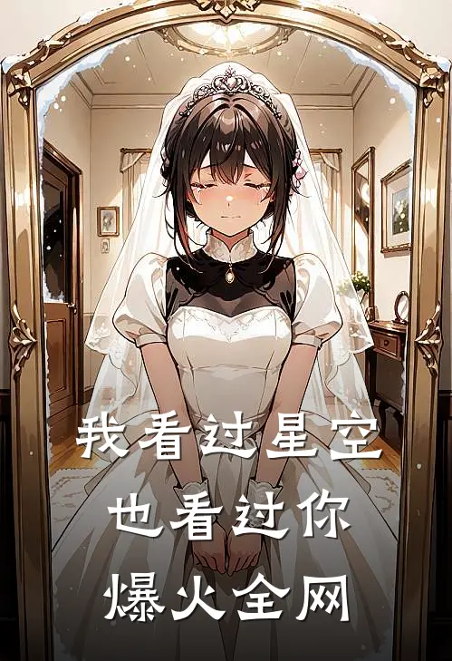 我看过星空，也看过你爆火全网