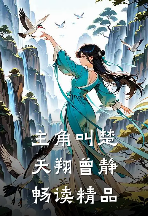 主角叫楚天翔曾静畅读精品