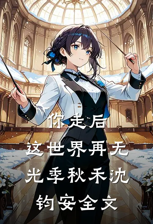 你走后，这世界再无光季秋禾沈钧安全文