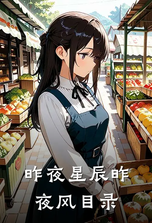 昨夜星辰昨夜风目录