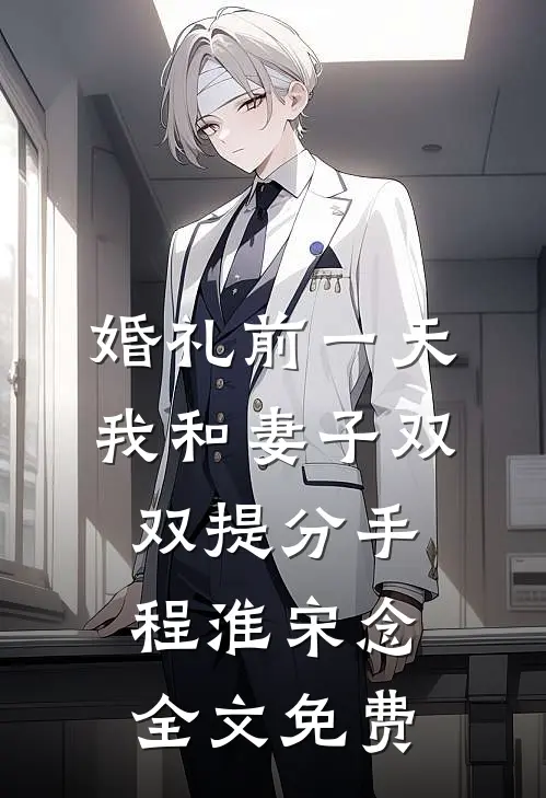 婚礼前一天，我和妻子双双提分手程淮宋念全文免费