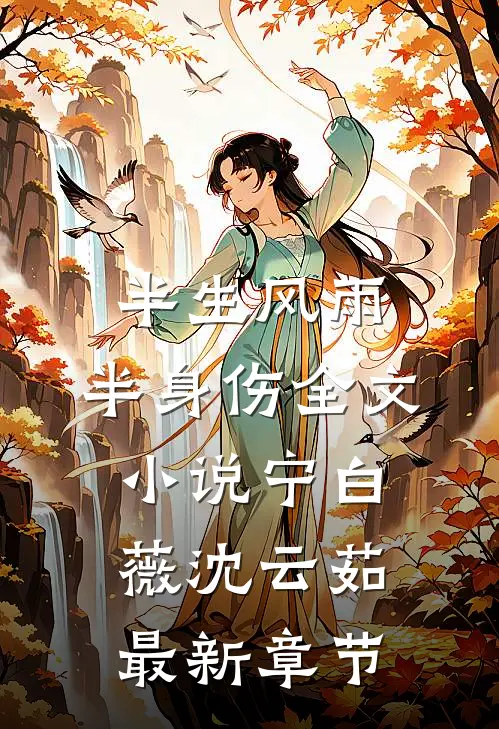 半生风雨，半身伤全文小说宁白薇沈云茹最新章节