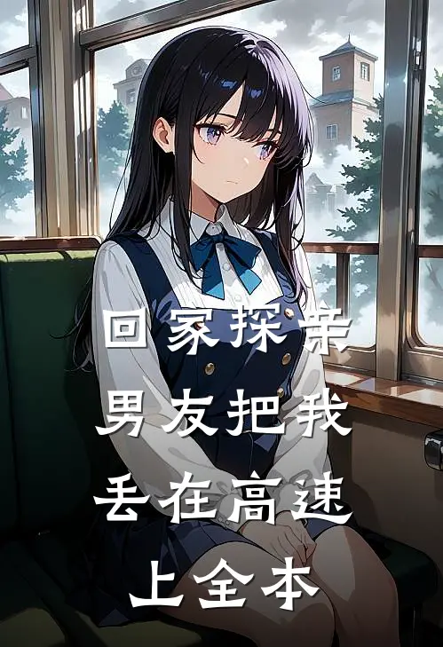 回家探亲，男友把我丢在高速上全本