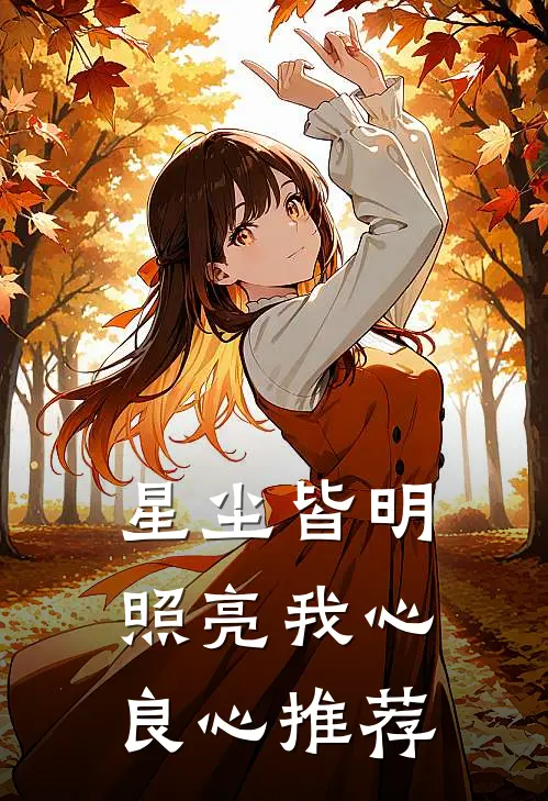 星尘皆明，照亮我心良心推荐