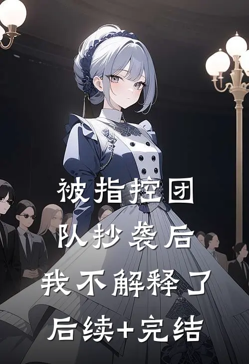 被指控团队抄袭后，我不解释了后续+完结