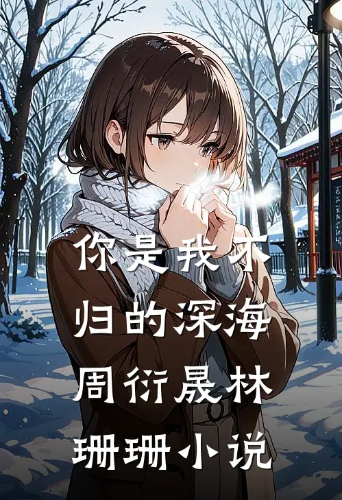 你是我不归的深海周衍晟林珊珊小说