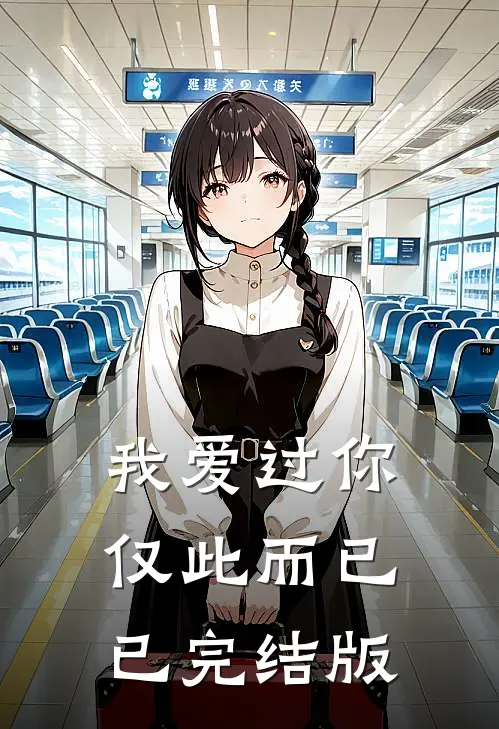 我爱过你，仅此而已已完结版