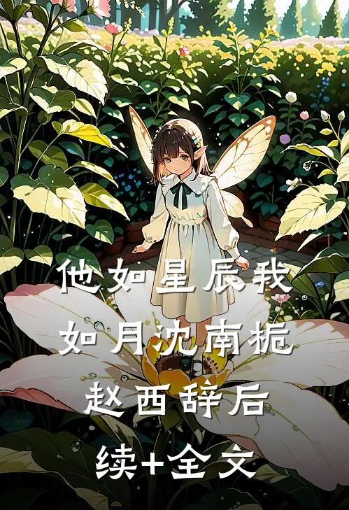 他如星辰我如月沈南栀赵西辞后续+全文