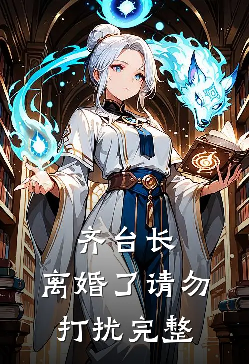齐台长，离婚了请勿打扰完整