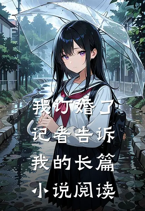 我订婚了，记者告诉我的长篇小说阅读