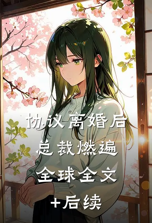 协议离婚后，总裁燃遍全球全文+后续