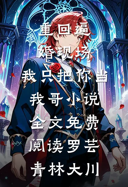 重回逼婚现场，我只把你当我哥小说全文免费阅读罗芸青林大川