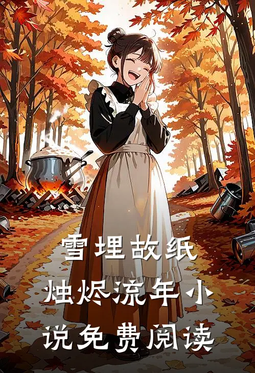雪埋故纸，烛烬流年小说免费阅读