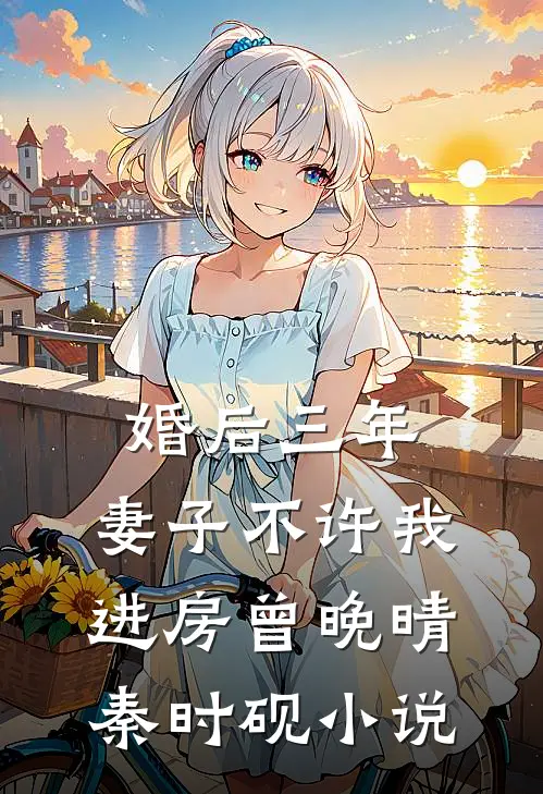 婚后三年，妻子不许我进房曾晚晴秦时砚小说